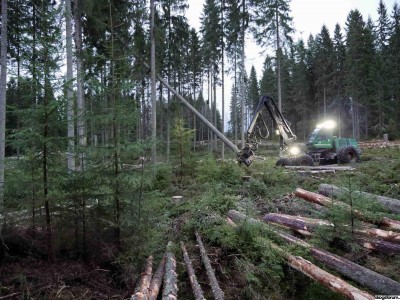 1652086874_skordare-skogsmaskin-avverkar-skog.jpeg